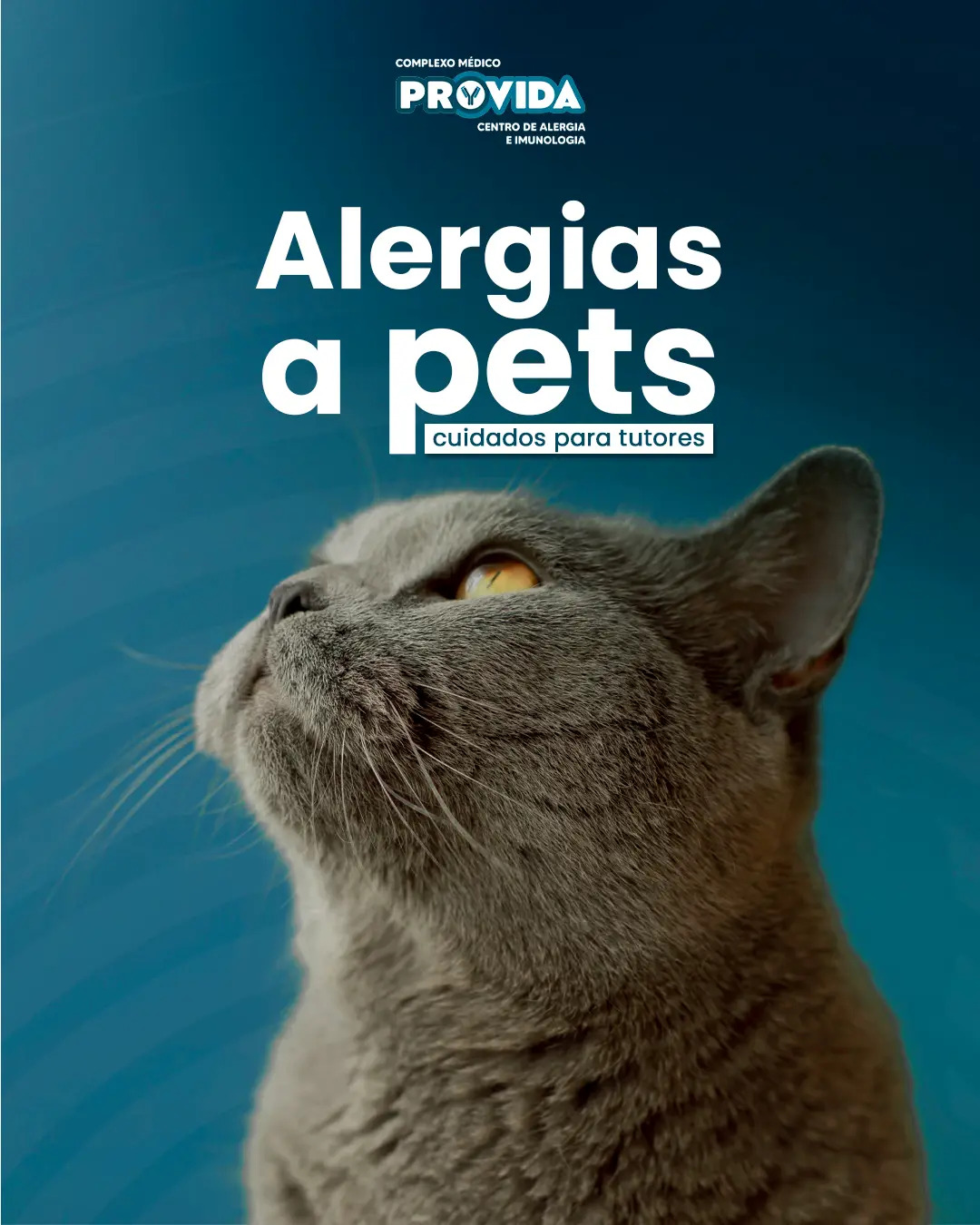Criativo digital desenvolvido para ALERGIAS